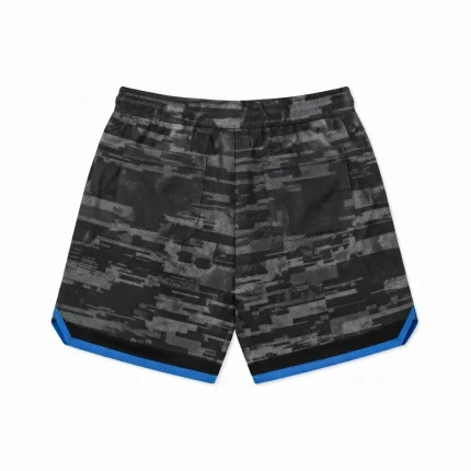 Performance Training Shorts 2